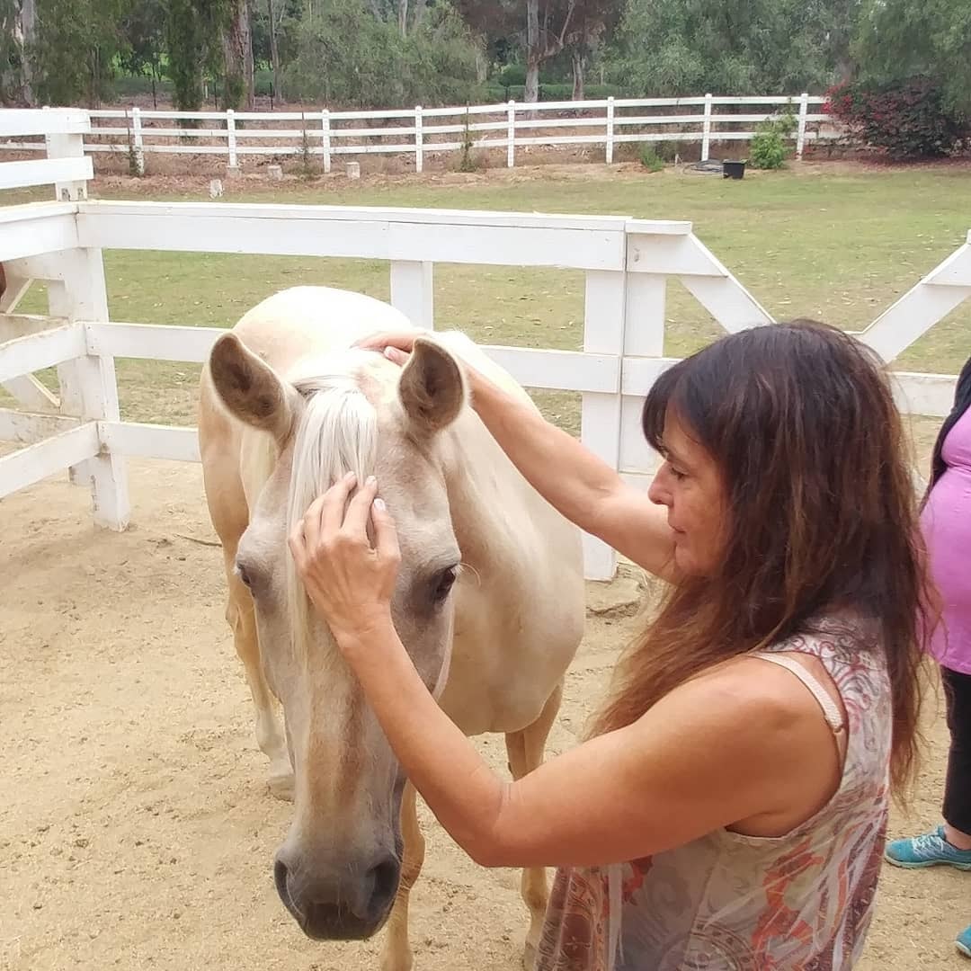 Nedra performing acupressure on a horse at a ranch
