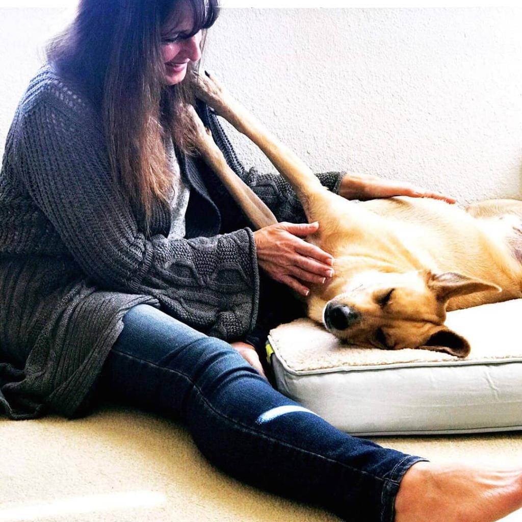 Nedra performing Reiki on a relaxed dog